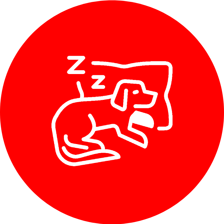 dog_sleep
